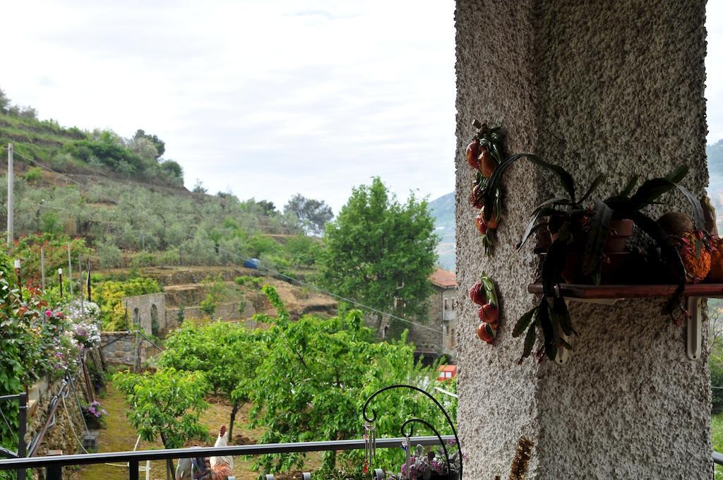 Villa Le Rose San Biagio della Cima Exterior foto