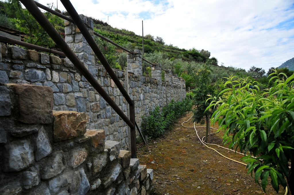 Villa Le Rose San Biagio della Cima Exterior foto